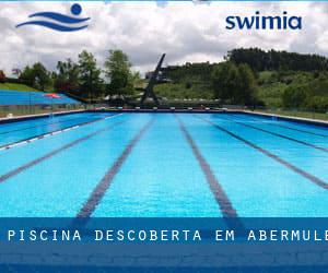 Piscina descoberta em Abermule