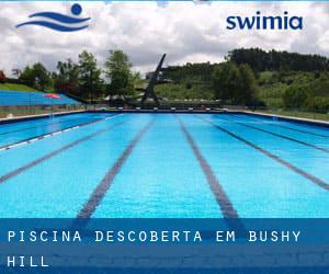 Piscina descoberta em Bushy Hill