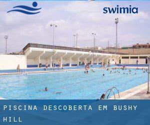 Piscina descoberta em Bushy Hill