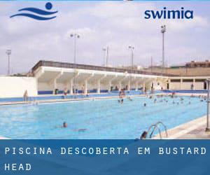 Piscina descoberta em Bustard Head