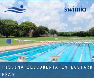 Piscina descoberta em Bustard Head