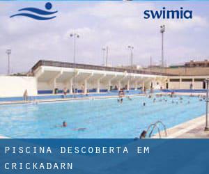 Piscina descoberta em Crickadarn