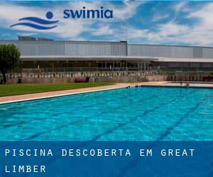 Piscina descoberta em Great Limber