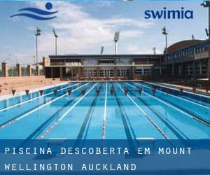 Piscina descoberta em MOUNT WELLINGTON (Auckland)