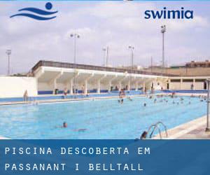 Piscina descoberta em Passanant i Belltall