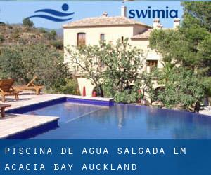 Piscina de água salgada em Acacia Bay (Auckland)