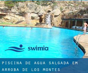 Piscina de água salgada em Arroba de los Montes