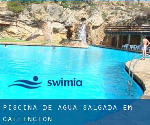 Piscina de água salgada em Callington