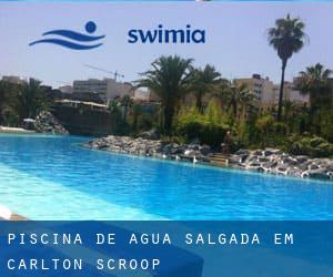 Piscina de água salgada em Carlton Scroop