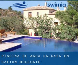 Piscina de água salgada em Halton Holegate