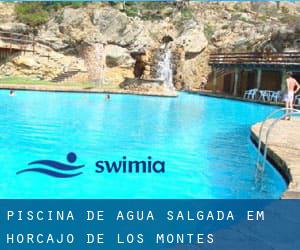 Piscina de água salgada em Horcajo de los Montes