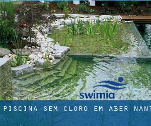 Piscina sem cloro em Aber-nant