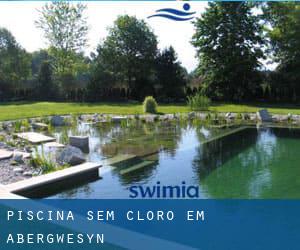 Piscina sem cloro em Abergwesyn