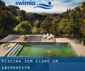 Piscina sem cloro em Abergwesyn