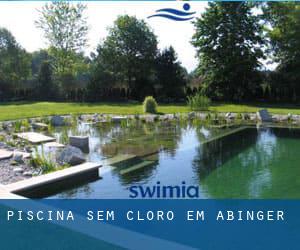 Piscina sem cloro em Abinger