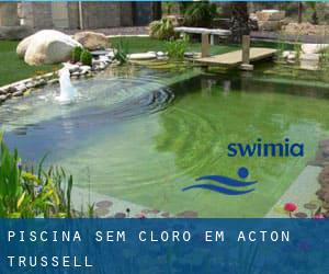 Piscina sem cloro em Acton Trussell