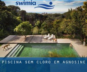 Piscina sem cloro em Agnosine