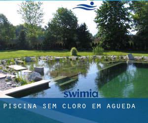 Piscina sem cloro em Águeda