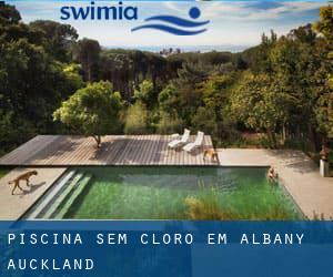 Piscina sem cloro em Albany (Auckland)