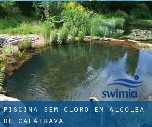 Piscina sem cloro em Alcolea de Calatrava