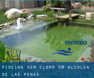 Piscina sem cloro em Alcolea de las Peñas