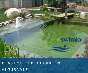 Piscina sem cloro em Almuradiel