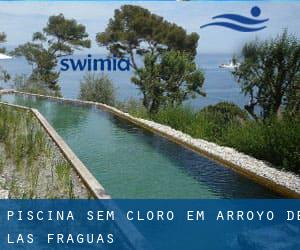 Piscina sem cloro em Arroyo de las Fraguas