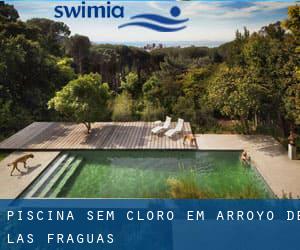 Piscina sem cloro em Arroyo de las Fraguas