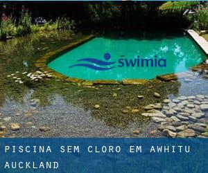 Piscina sem cloro em Awhitu (Auckland)