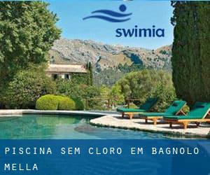 Piscina sem cloro em Bagnolo Mella