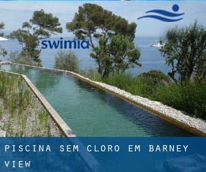 Piscina sem cloro em Barney View