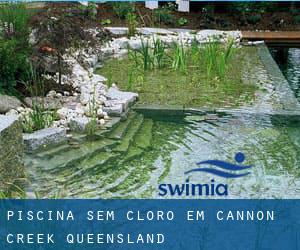 Piscina sem cloro em Cannon Creek (Queensland)