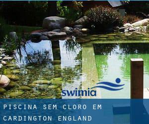 Piscina sem cloro em Cardington (England)