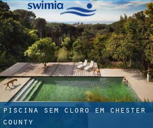 Piscina sem cloro em Chester County