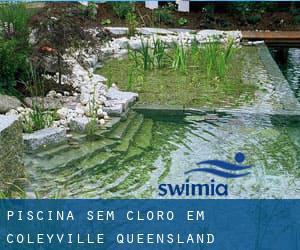 Piscina sem cloro em Coleyville (Queensland)