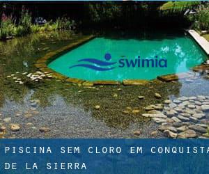 Piscina sem cloro em Conquista de la Sierra