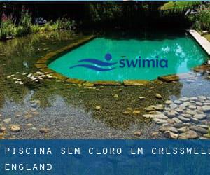 Piscina sem cloro em Cresswell (England)