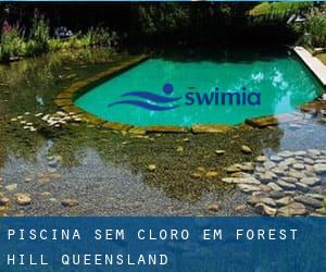 Piscina sem cloro em Forest Hill (Queensland)