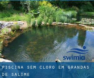 Piscina sem cloro em Grandas de Salime