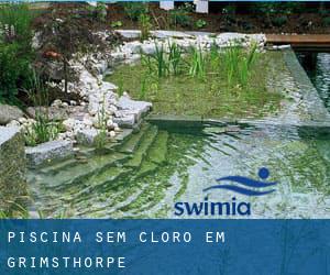 Piscina sem cloro em Grimsthorpe