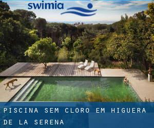 Piscina sem cloro em Higuera de la Serena