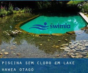 Piscina sem cloro em Lake Hawea (Otago)