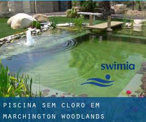 Piscina sem cloro em Marchington Woodlands