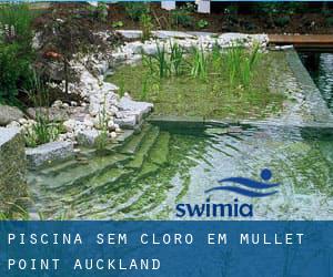 Piscina sem cloro em Mullet Point (Auckland)