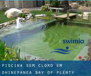 Piscina sem cloro em Ohinepanea (Bay of Plenty)