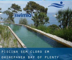 Piscina sem cloro em Ohinepanea (Bay of Plenty)