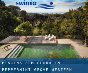 Piscina sem cloro em Peppermint Grove (Western Australia)