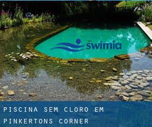 Piscina sem cloro em Pinkertons Corner