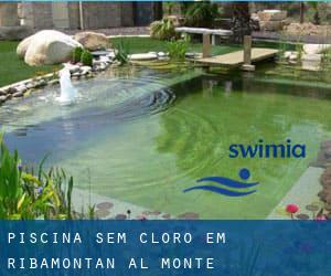 Piscina sem cloro em Ribamontán al Monte