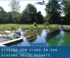 Piscina sem cloro em San Giacomo delle Segnate